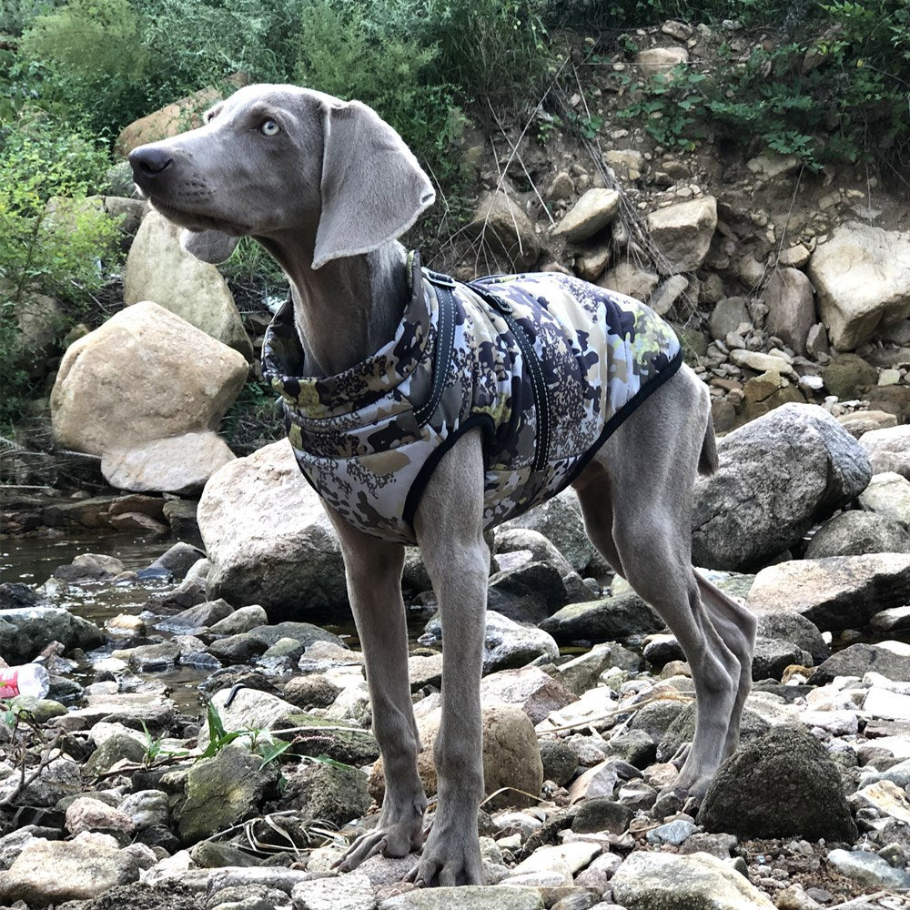 bda45c6b9f1bb14008dd0a9d94517a1c