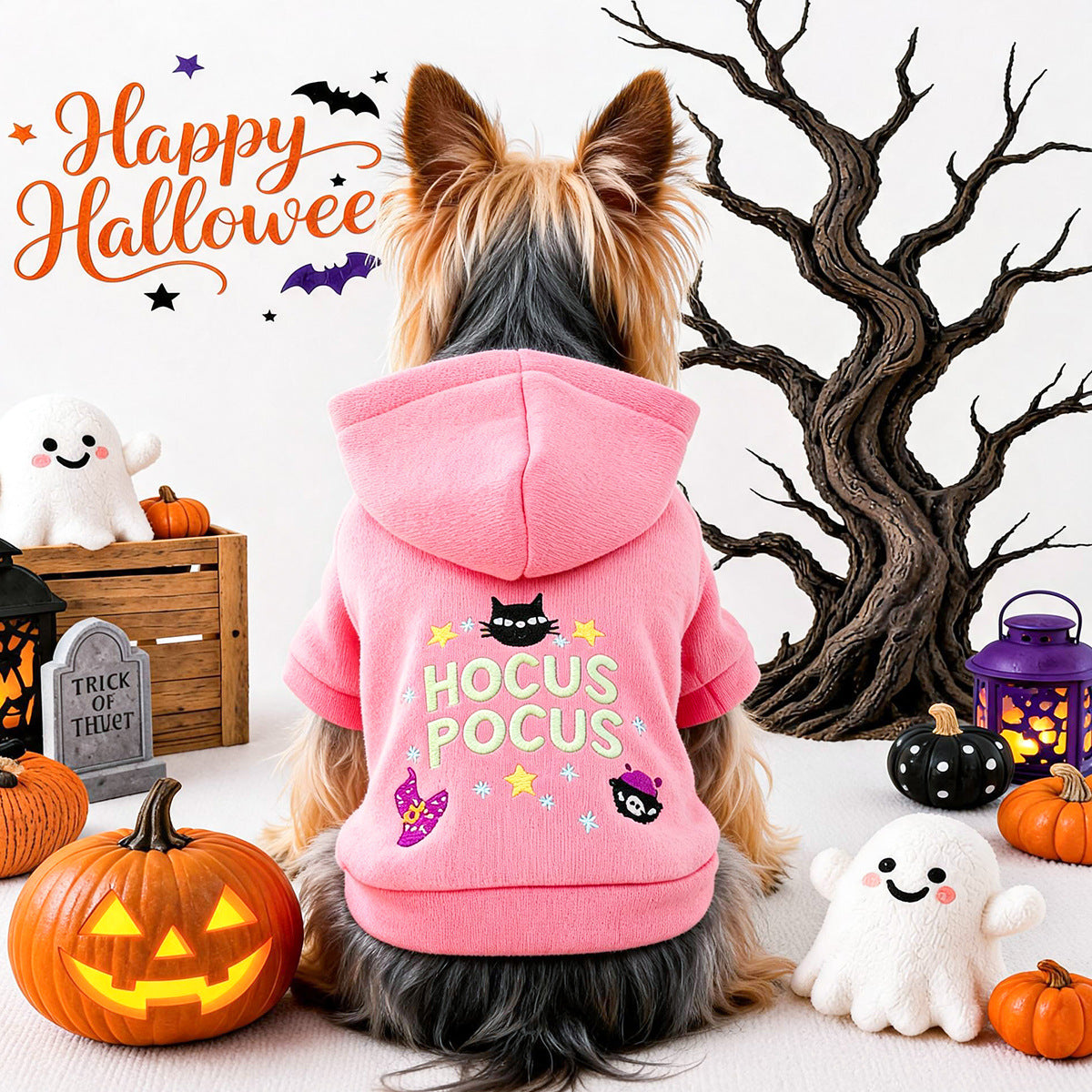 Hocus Pocus Halloween Hoodie for Small Dogs