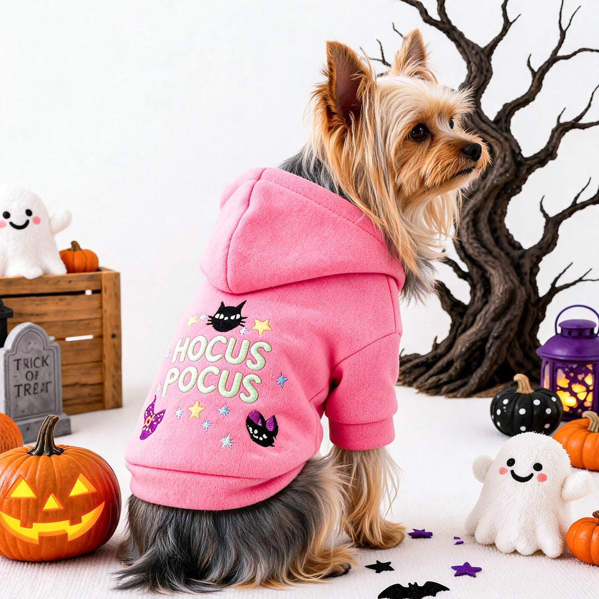 Hocus Pocus Halloween Hoodie for Small Dogs