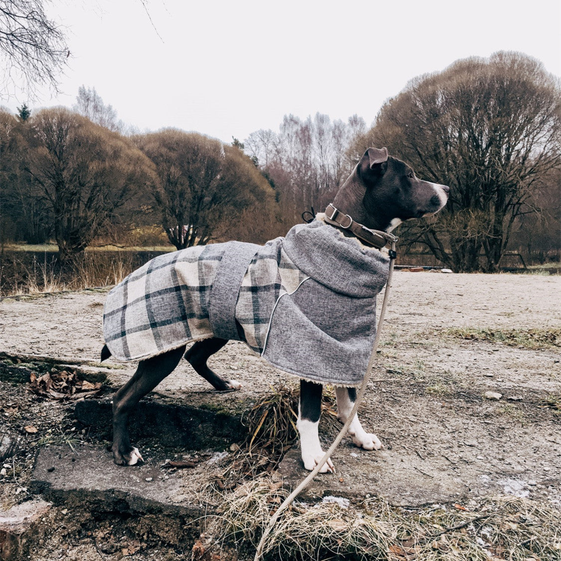 Cozy Plaid Winter Dog Jacket