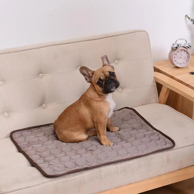 Self-Cooling Dog Mat
