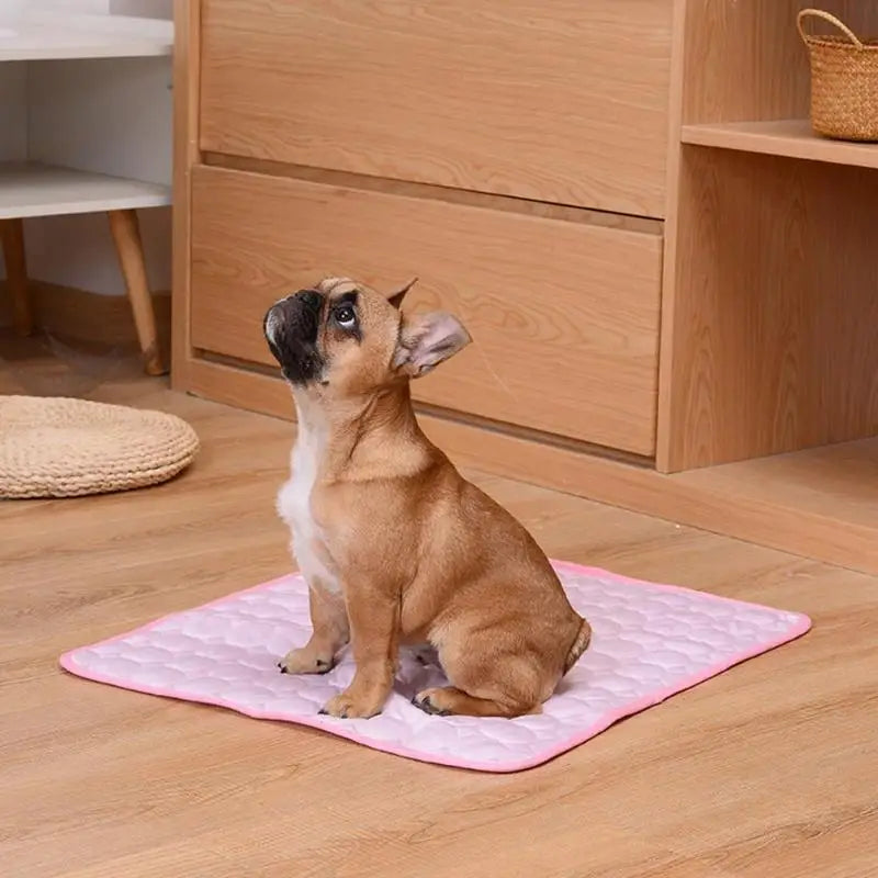 Self-Cooling Dog Mat
