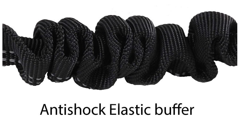 2-in-1 Dog Leash & Car Seat Belt Tether