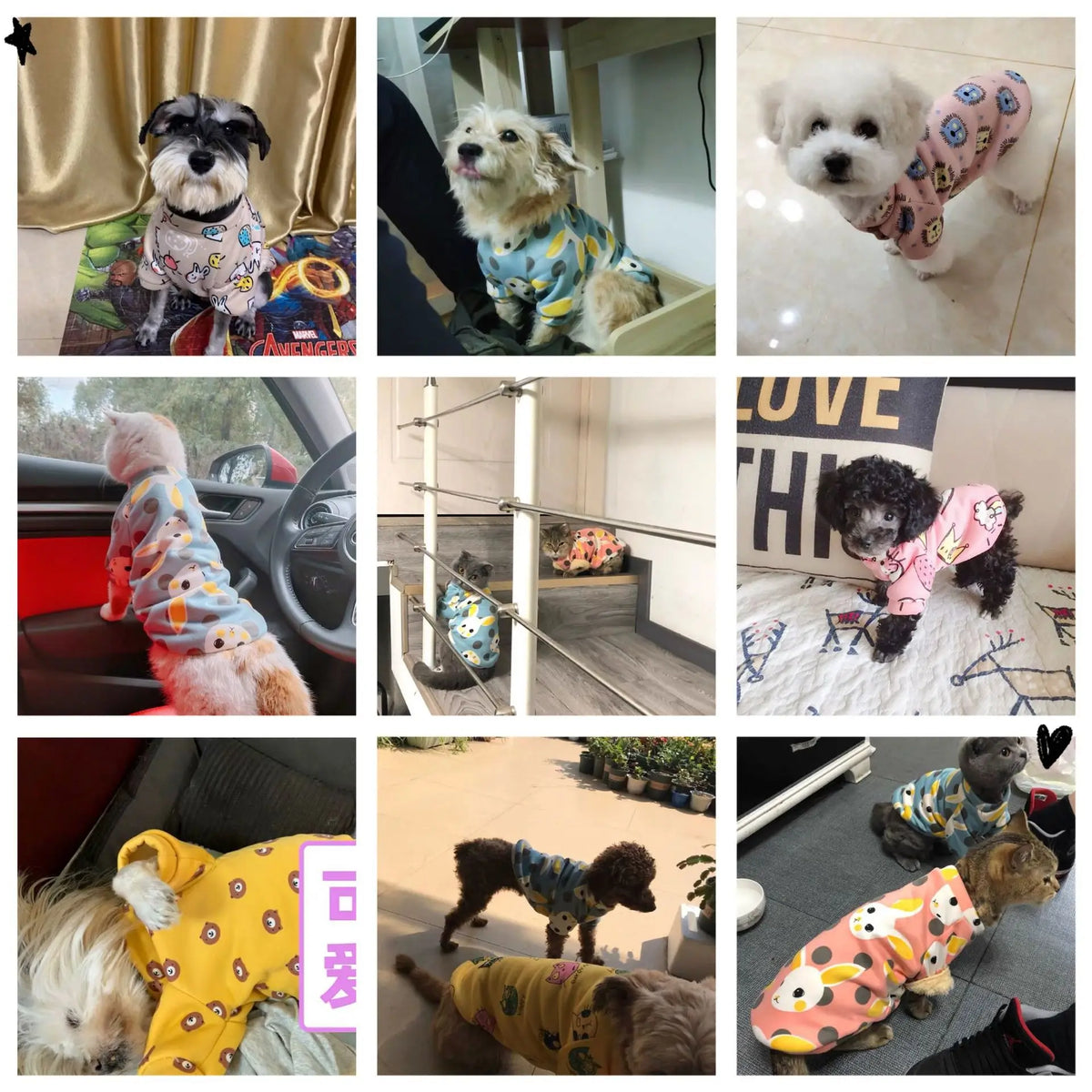 Cozy Pattern Dog Hoodies