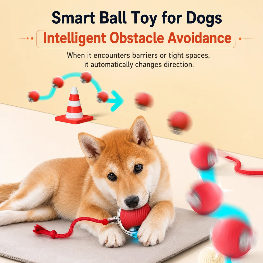 Smart Rolling Dog Ball - Rechargeable Interactive Toy