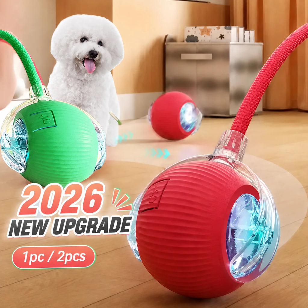 Smart Rolling Dog Ball - Rechargeable Interactive Toy