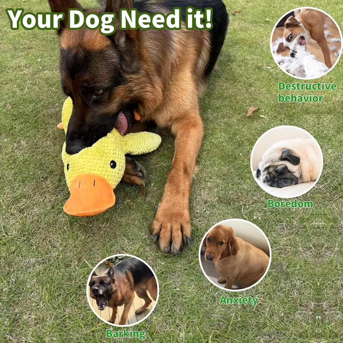 Quacking Plush Duck Dog Toy