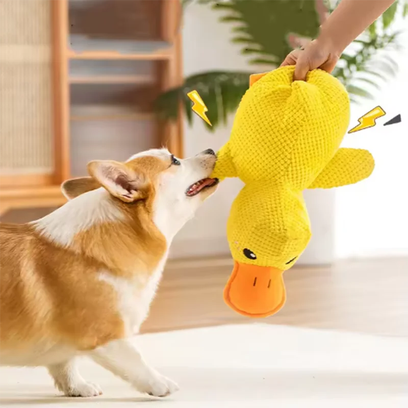 Quacking Plush Duck Dog Toy