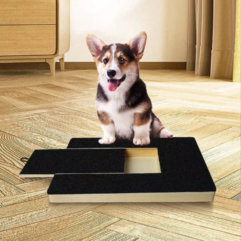 Treat-Reward Dog Nail Filing Board