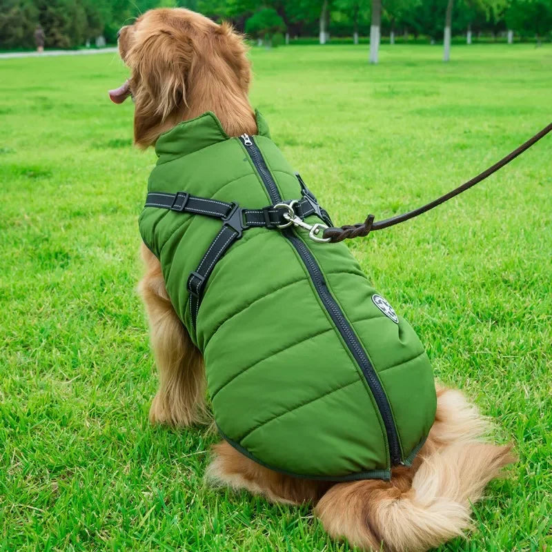 All-Weather Dog Jacket with Built-In Harness