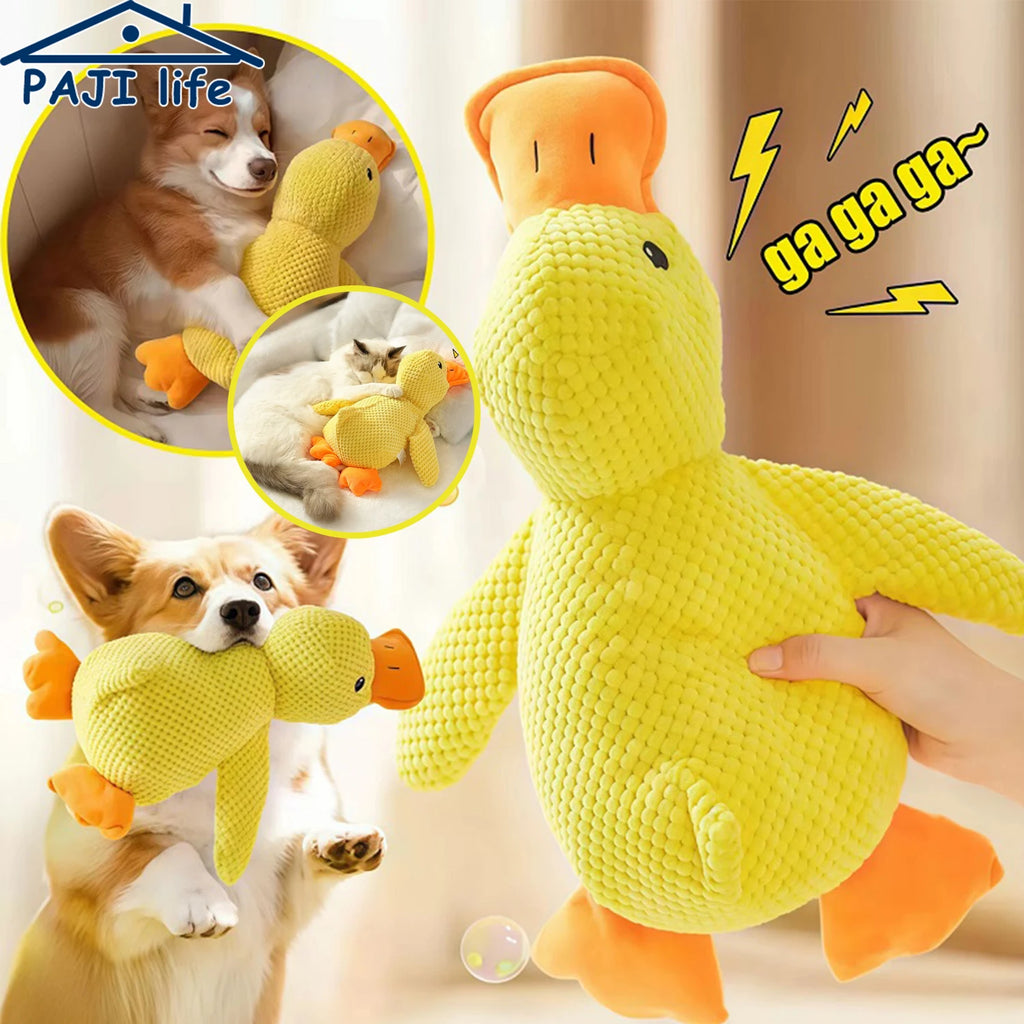 Quacking Plush Duck Dog Toy