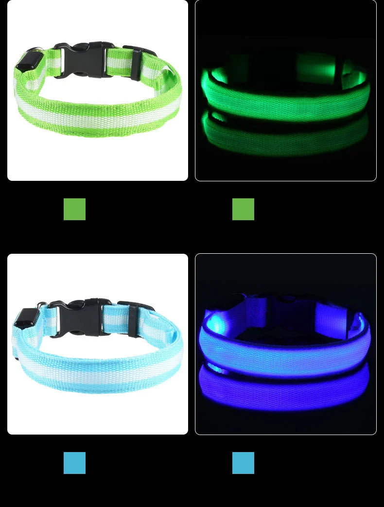 LED Night Safety Dog Collar