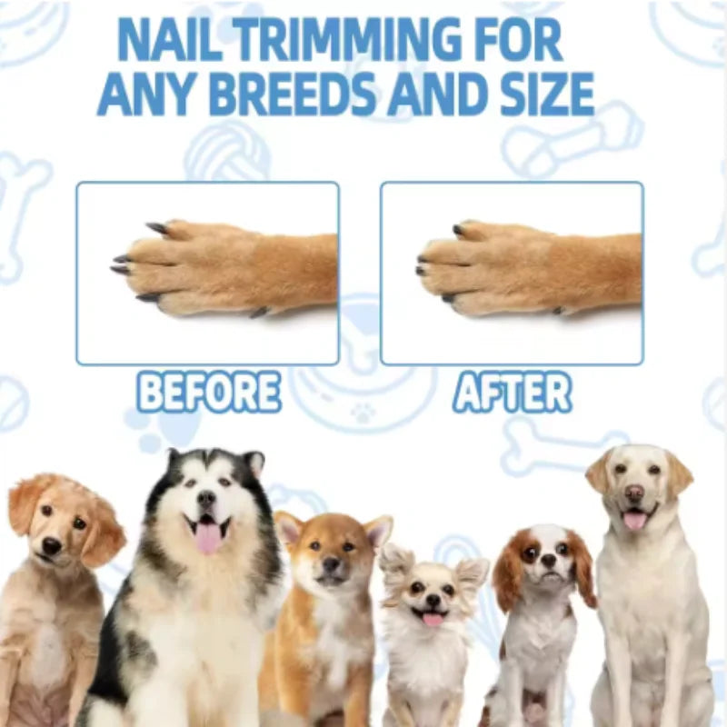 Treat-Reward Dog Nail Filing Board