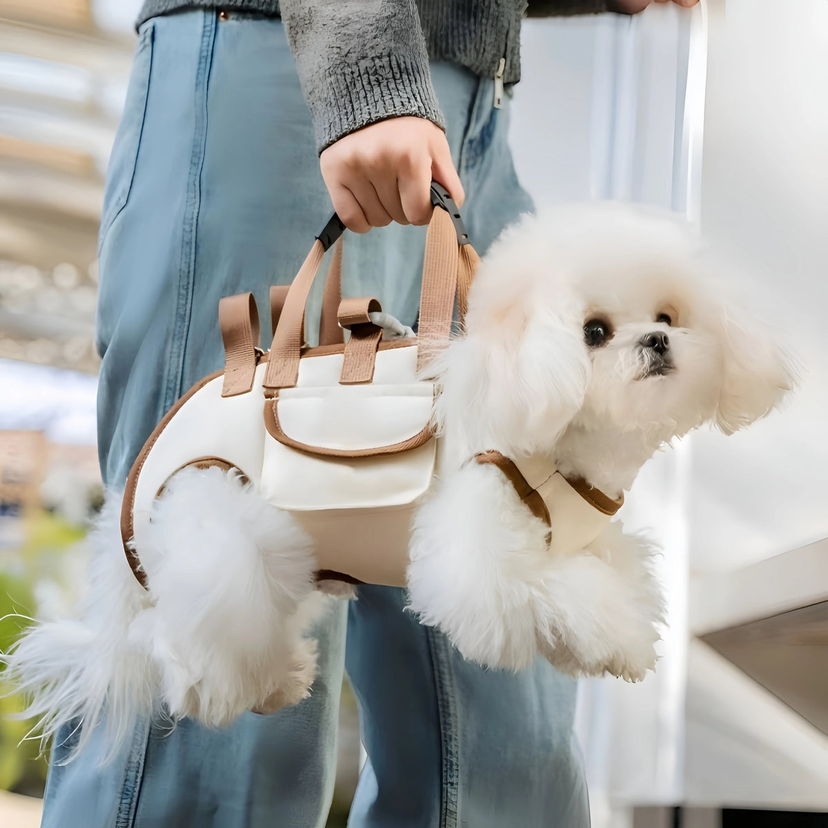 3-in-1 Breathable Dog Carrier Bag