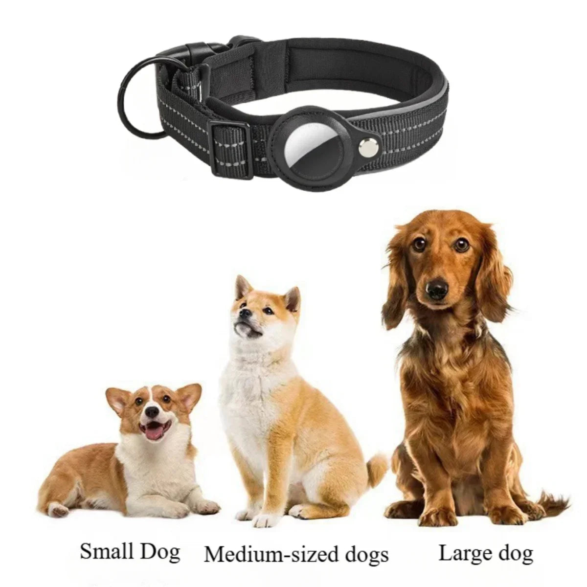 Reflective Dog Collar with Hidden AirTag Holder