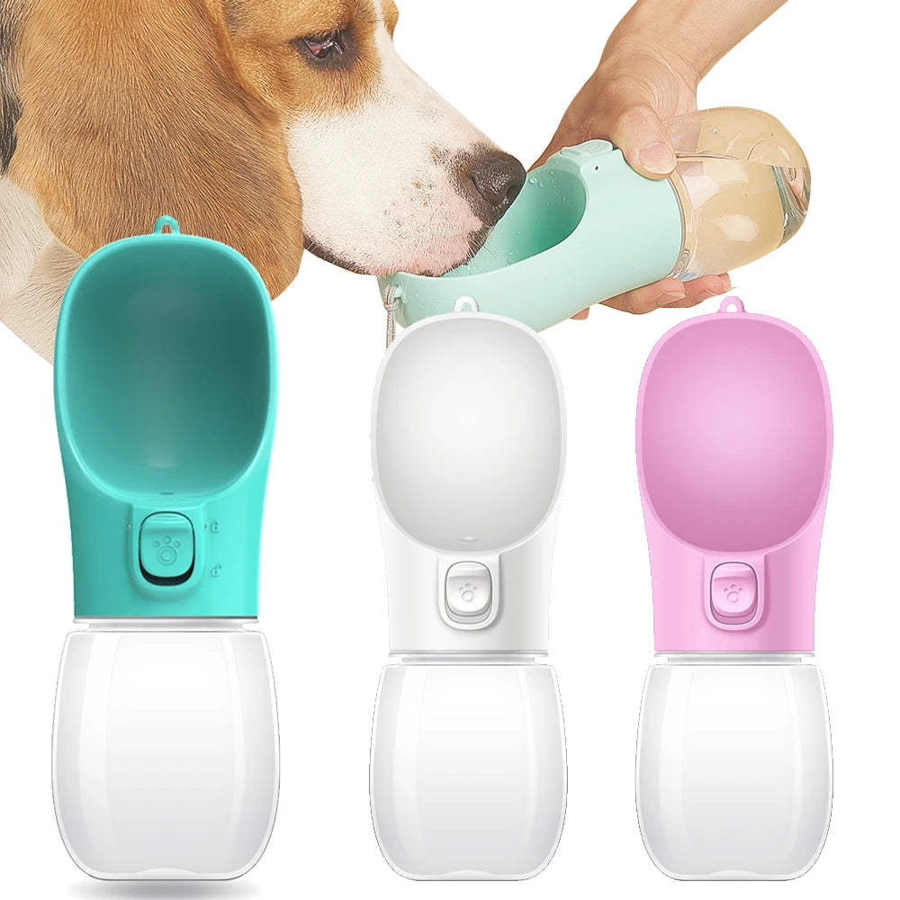 Leakproof Travel Water Bottle