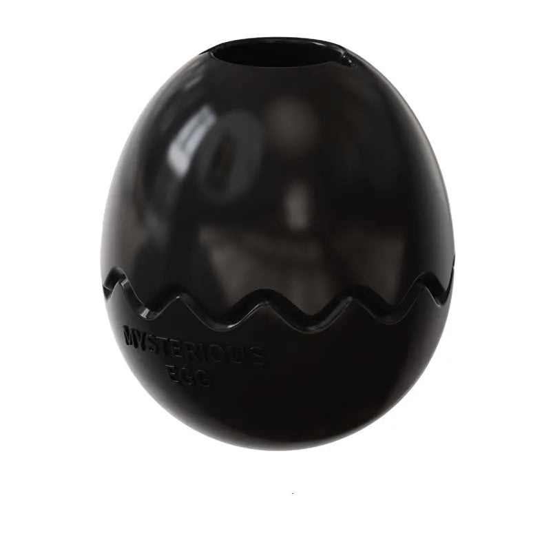 Dinosaur Egg Interactive Dog Treat Dispenser Toy