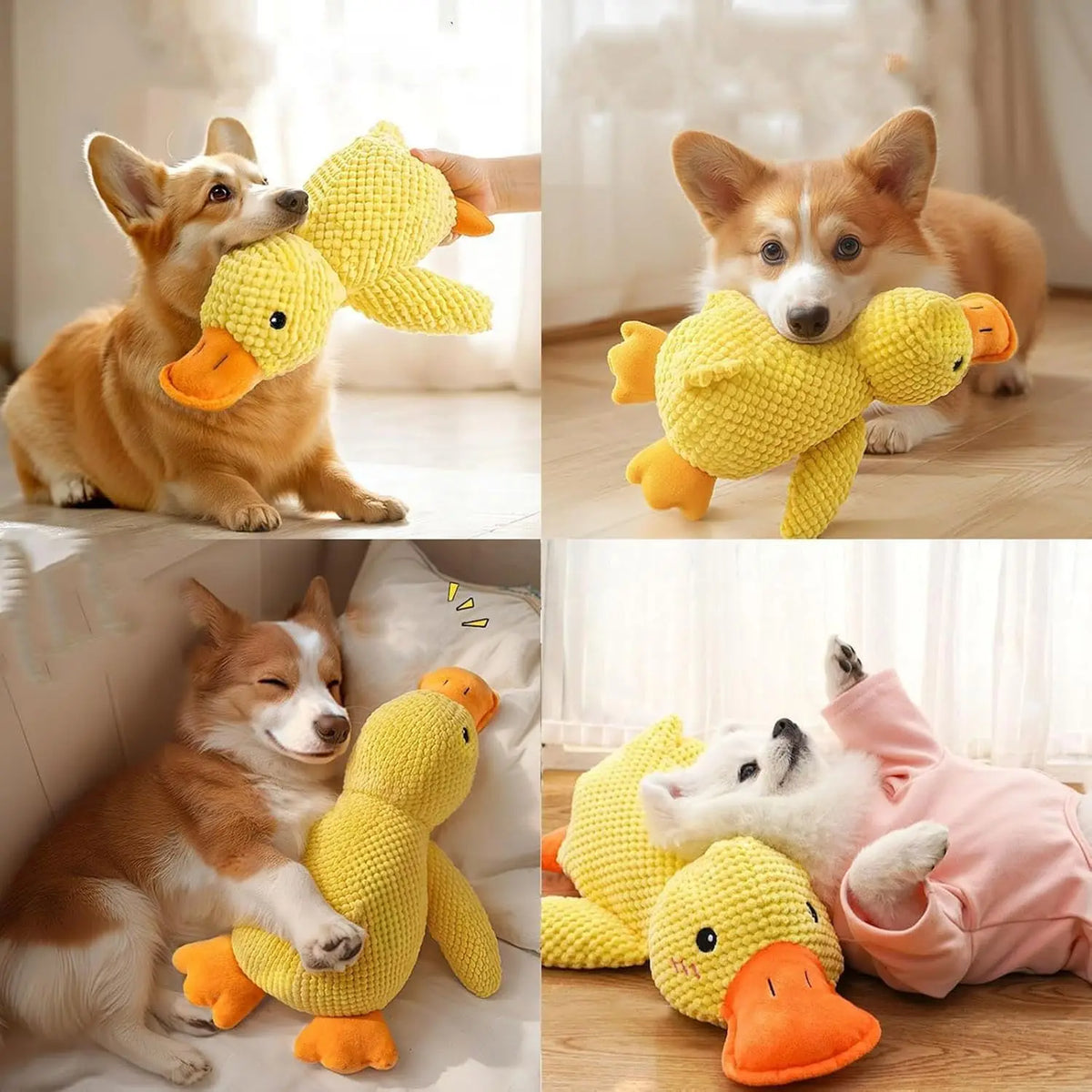 Quacking Plush Duck Dog Toy