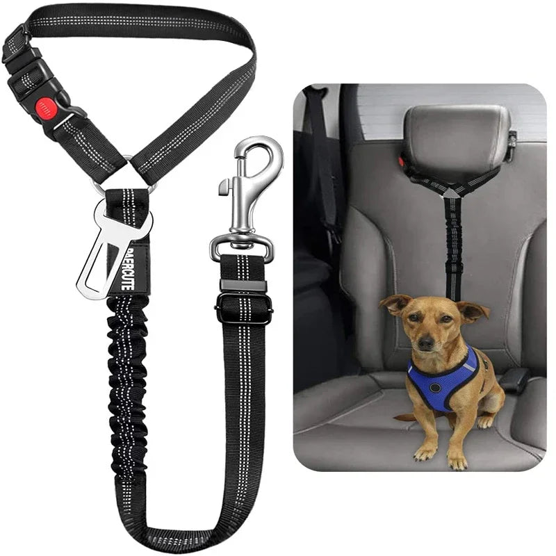 2-in-1 Dog Leash & Car Seat Belt Tether