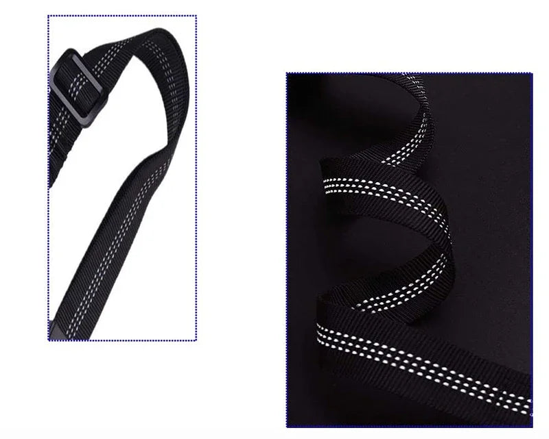 2-in-1 Dog Leash & Car Seat Belt Tether