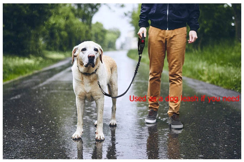 2-in-1 Dog Leash & Car Seat Belt Tether