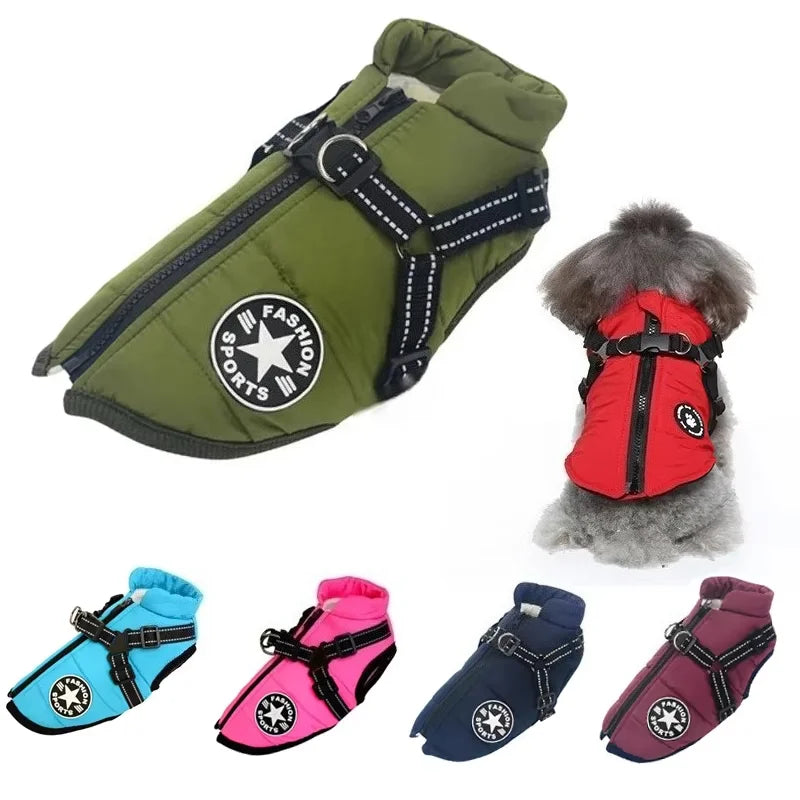 All-Weather Dog Jacket with Built-In Harness
