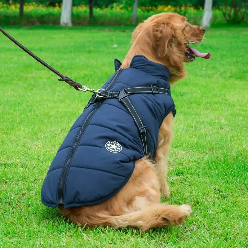 All-Weather Dog Jacket with Built-In Harness