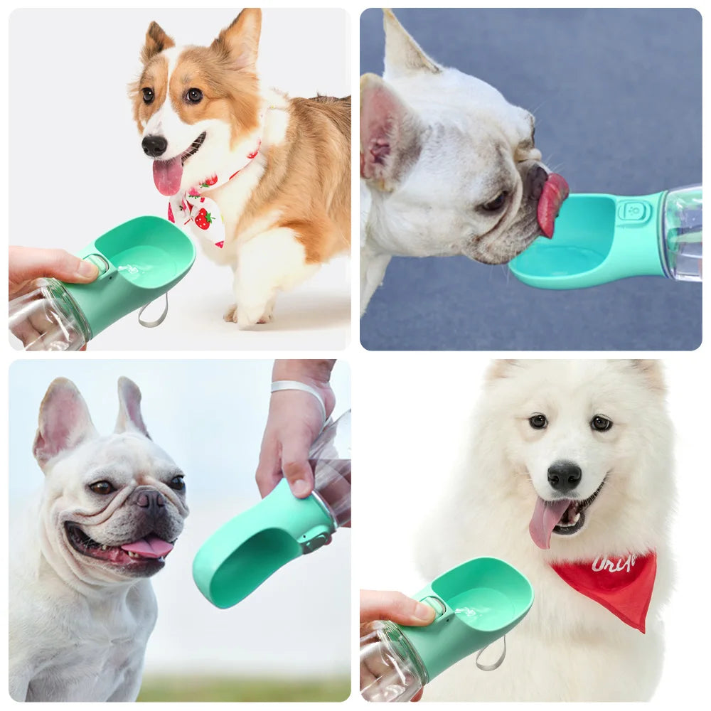 Leakproof Travel Water Bottle