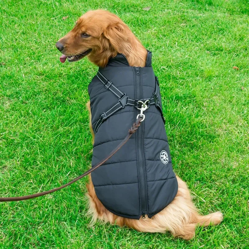 All-Weather Dog Jacket with Built-In Harness