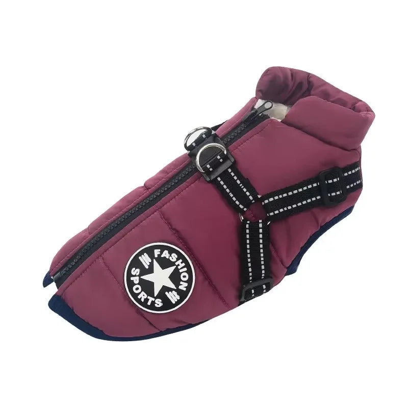All-Weather Dog Jacket with Built-In Harness