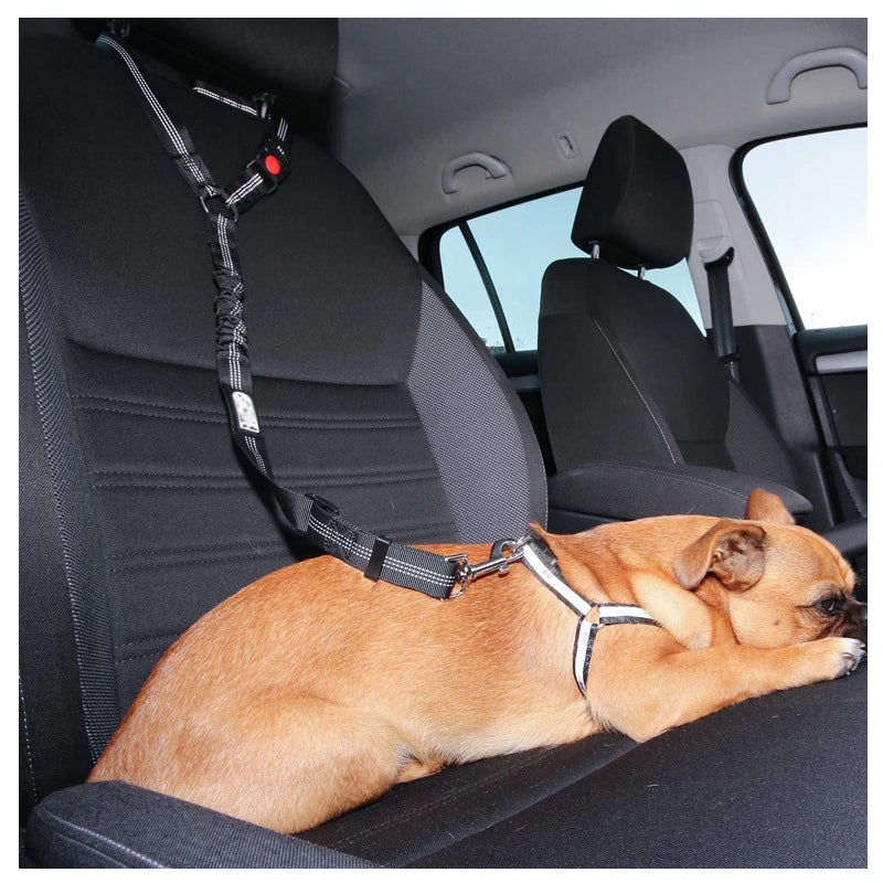 2-in-1 Dog Leash & Car Seat Belt Tether