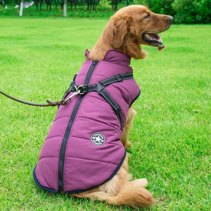 All-Weather Dog Jacket with Built-In Harness