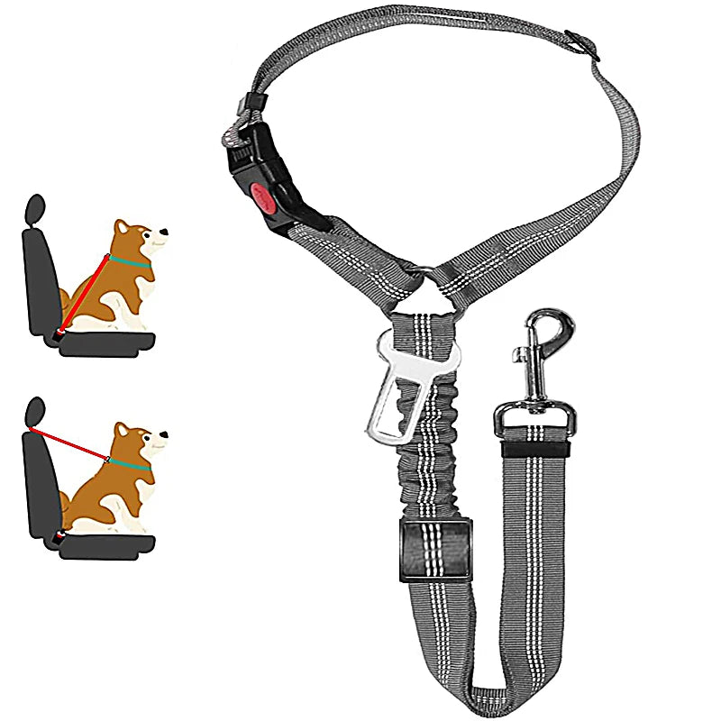 2-in-1 Dog Leash & Car Seat Belt Tether