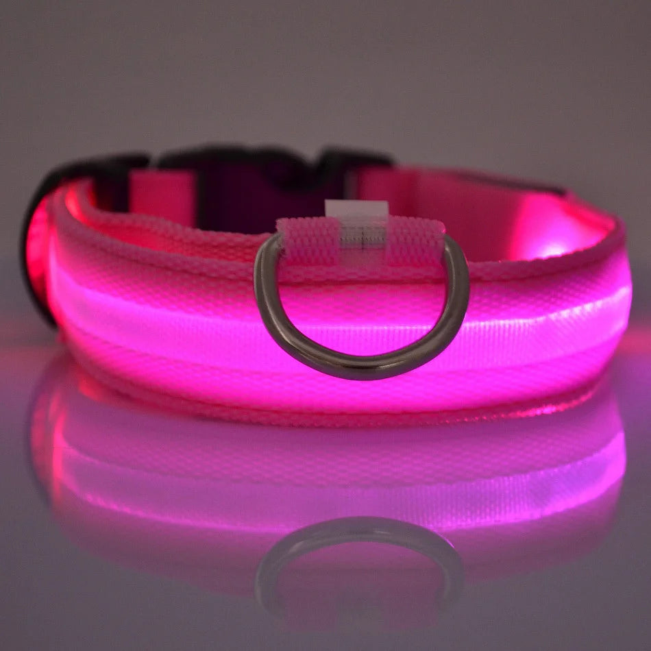 LED Night Safety Dog Collar