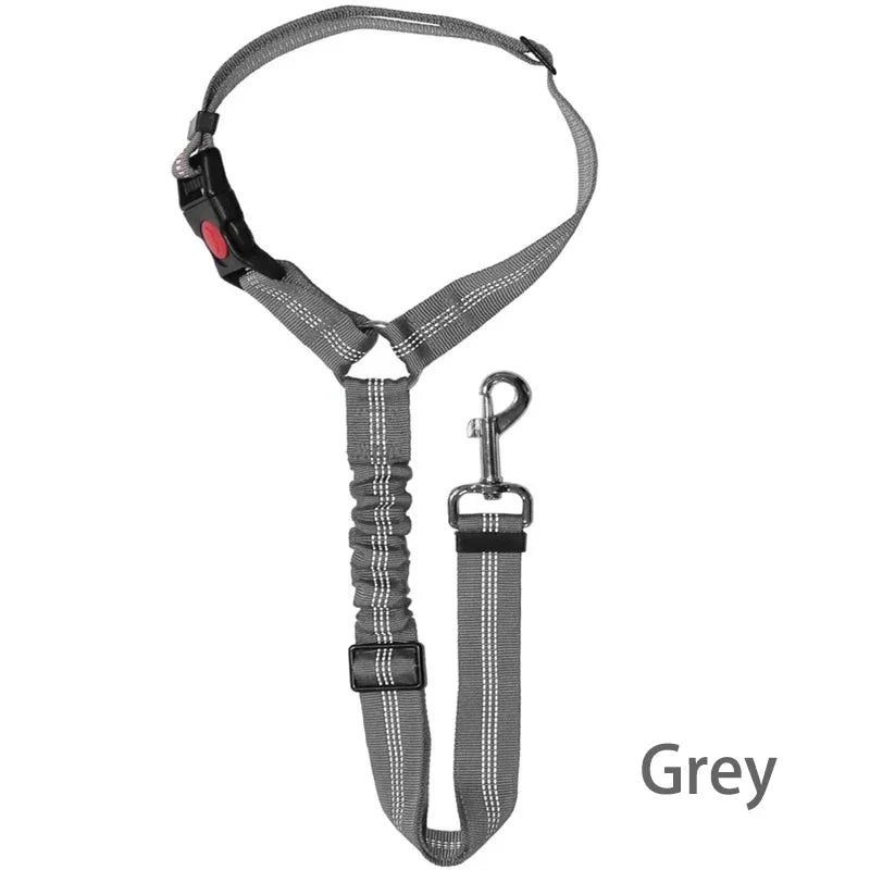 2-in-1 Dog Leash & Car Seat Belt Tether