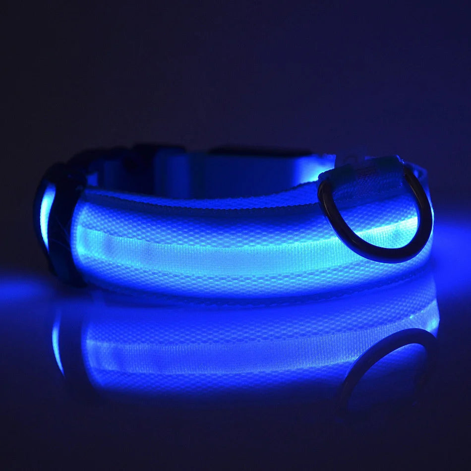 LED Night Safety Dog Collar