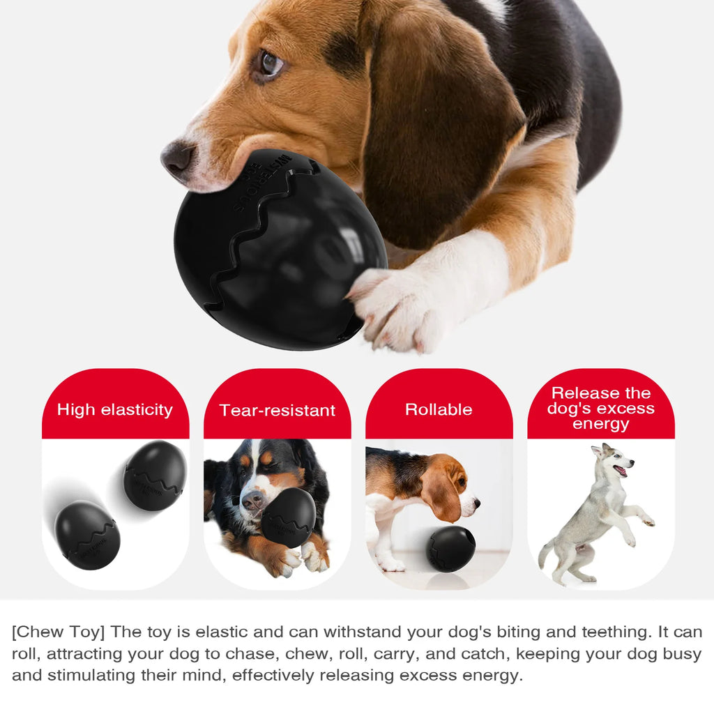 Dinosaur Egg Interactive Dog Treat Dispenser Toy
