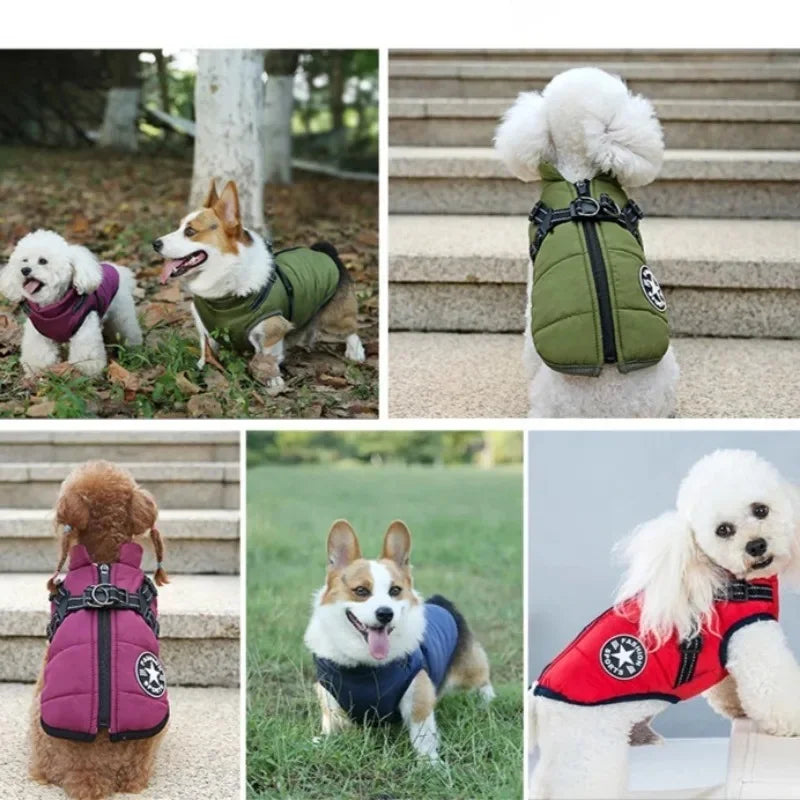 All-Weather Dog Jacket with Built-In Harness