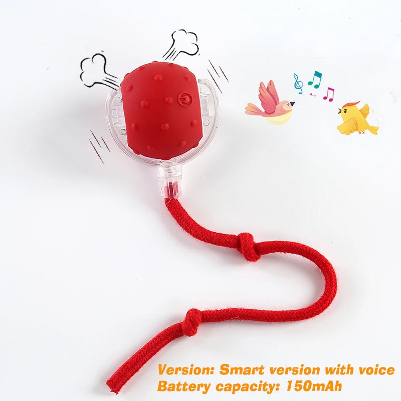 Smart Rolling Dog Ball - Rechargeable Interactive Toy