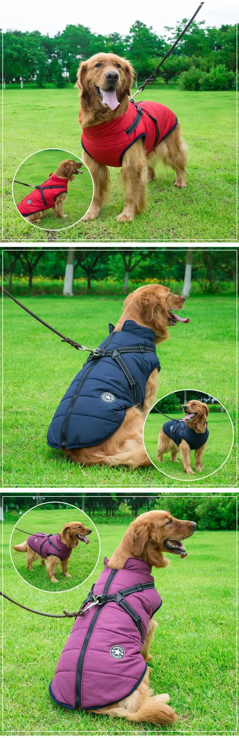 All-Weather Dog Jacket with Built-In Harness