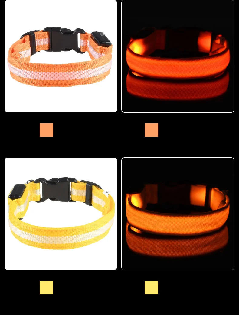 LED Night Safety Dog Collar