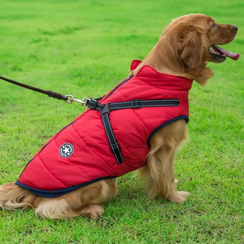 All-Weather Dog Jacket with Built-In Harness