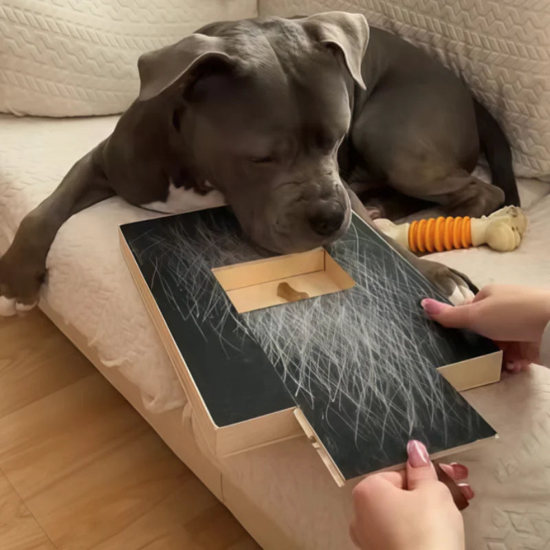 Treat-Reward Dog Nail Filing Board