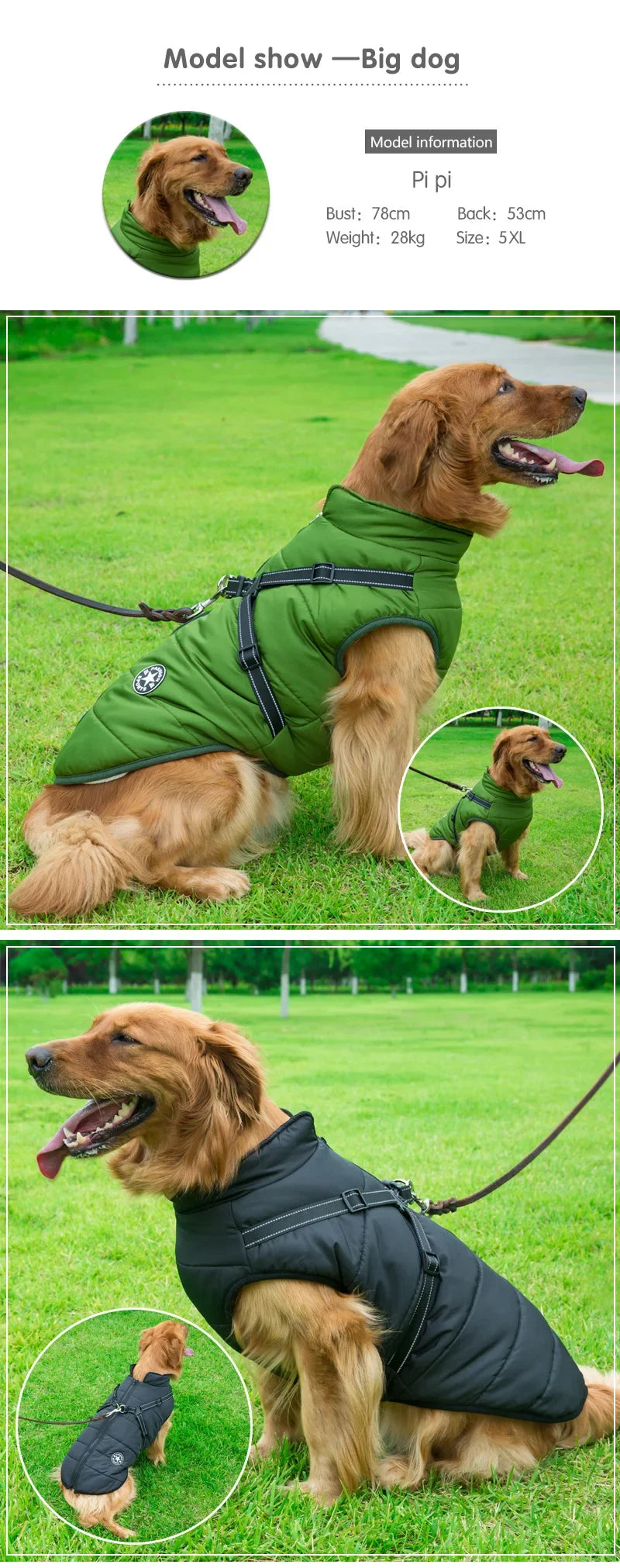 All-Weather Dog Jacket with Built-In Harness
