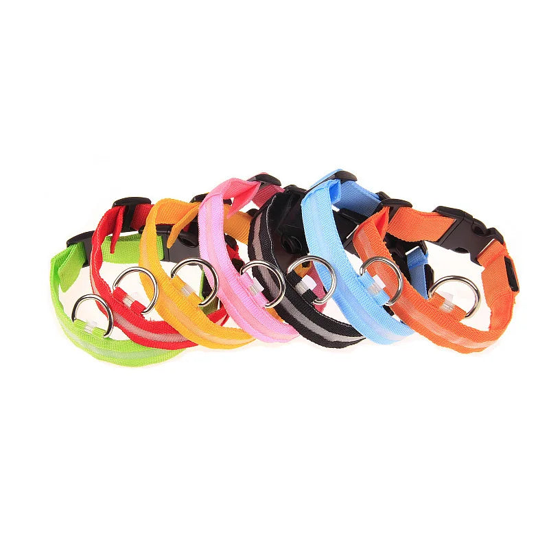 LED Night Safety Dog Collar