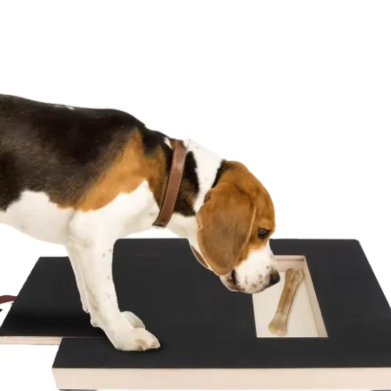 Treat-Reward Dog Nail Filing Board