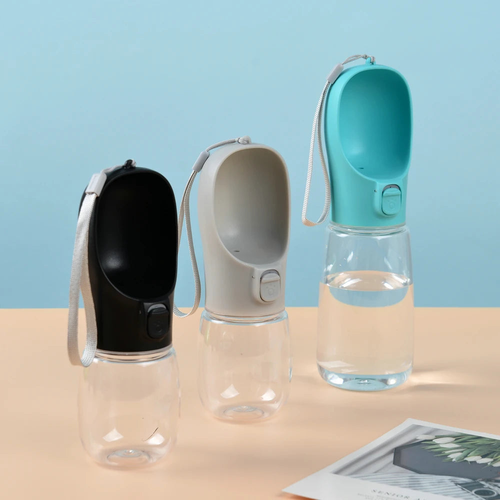 Leakproof Travel Water Bottle