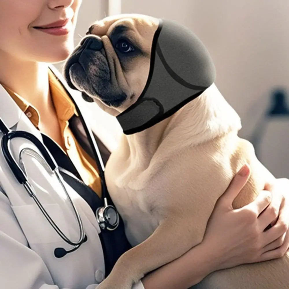 Calming Dog Ear Muffs