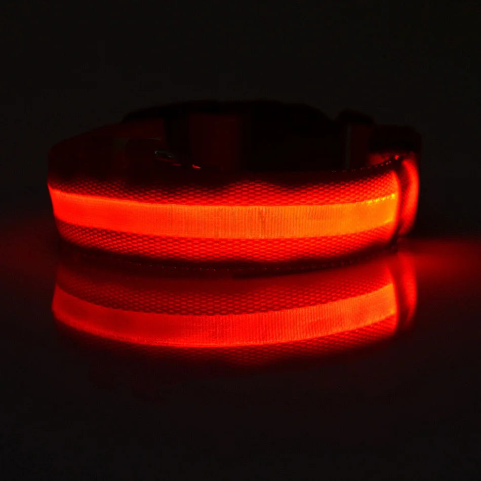 LED Night Safety Dog Collar
