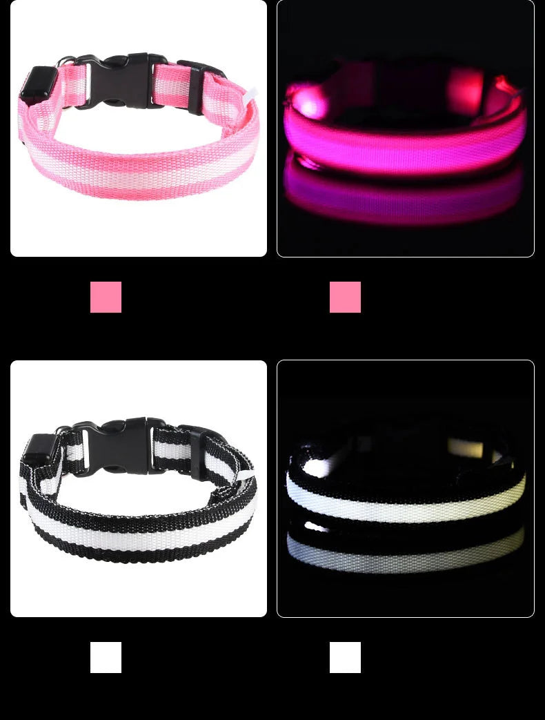 LED Night Safety Dog Collar